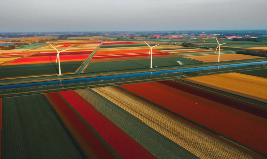 Dagje Uit Nederland