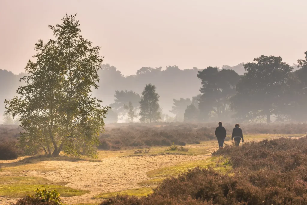 Dagje uit Gelderland