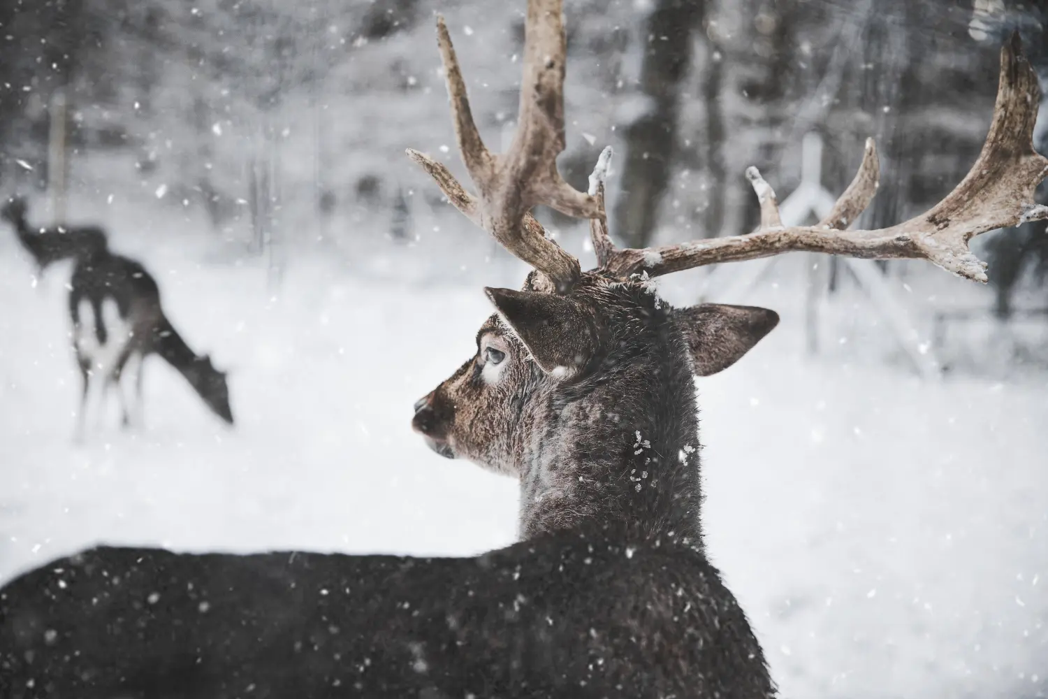 dagje uit winter